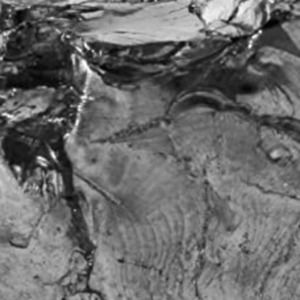 Meet your Posher, Ronald